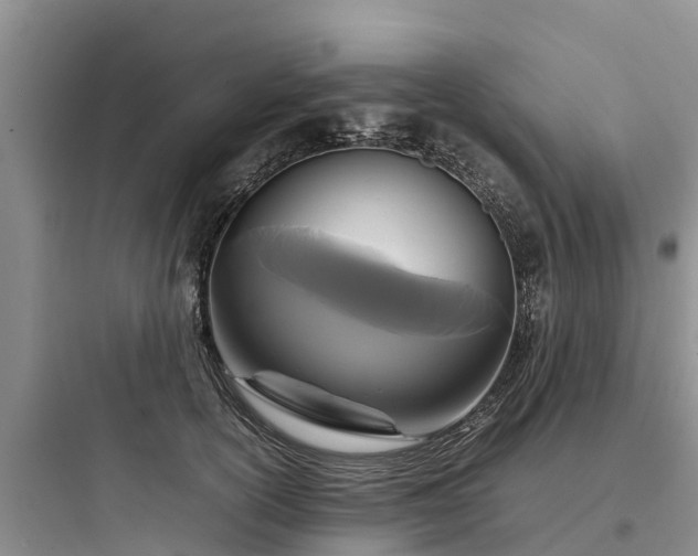 X0000097920754200803211527