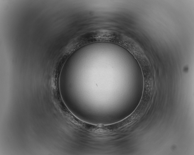 X0000097920755200803211527