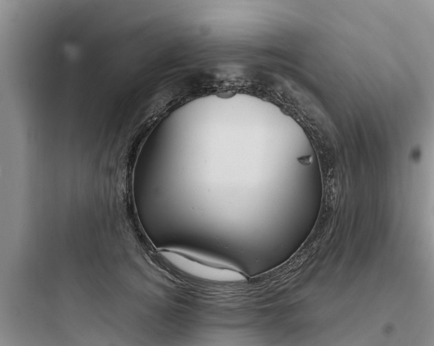 X0000097920756200803211527
