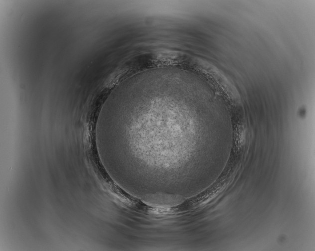 X0000097920759200803211527
