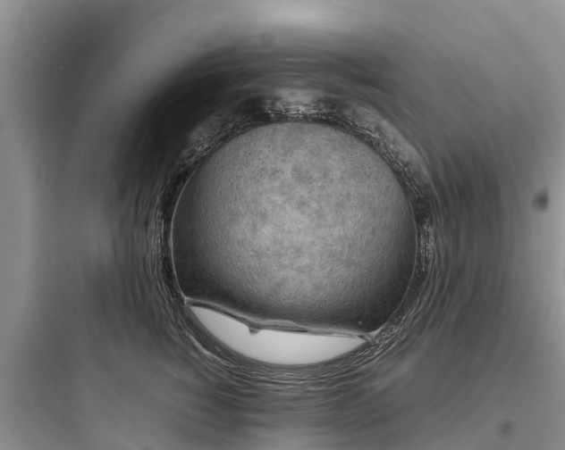 X0000097920760200803211527