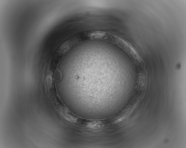 X0000097920761200803211527