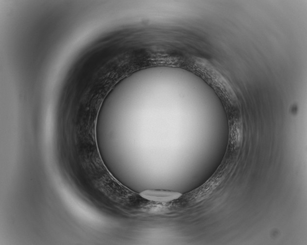 X0000097920764200803211527