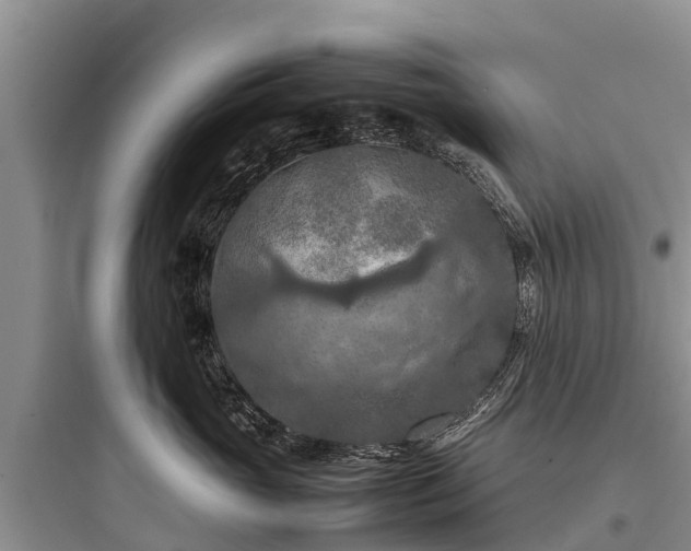 X0000097920765200803211527