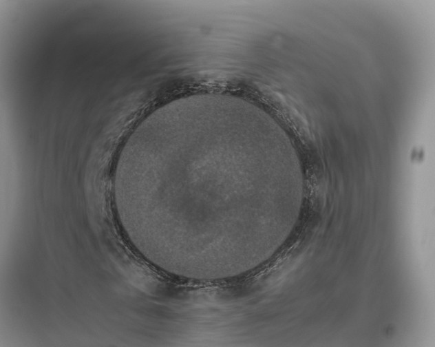 X0000097920769200803211526
