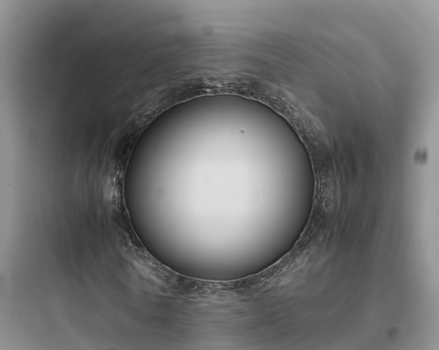 X0000097920770200803211526
