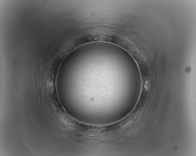 X0000097920771200803211526