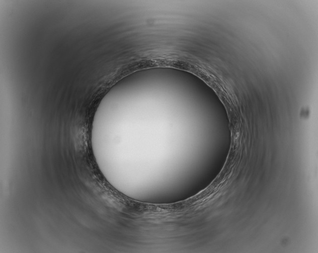 X0000097920772200803211526