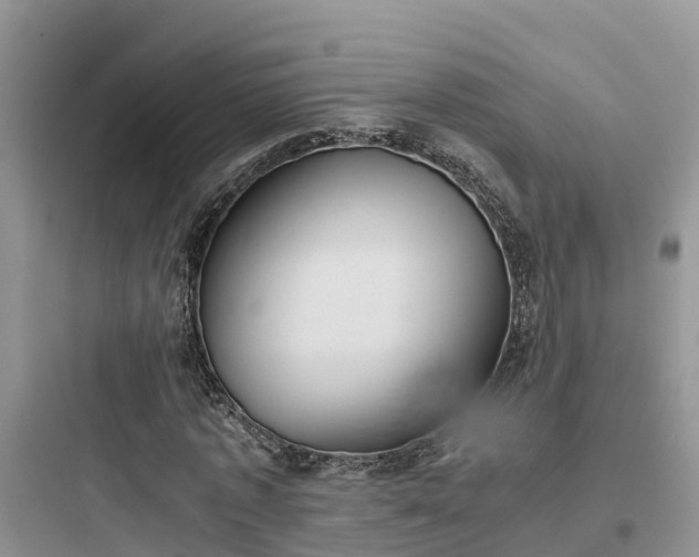 X0000097920773200803211526