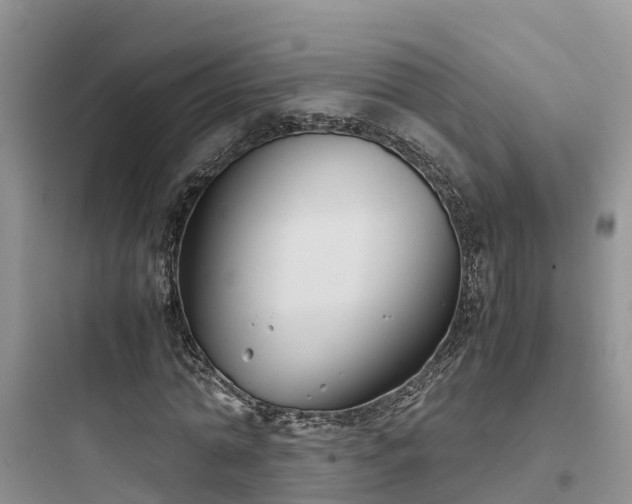 X0000097920774200803211526