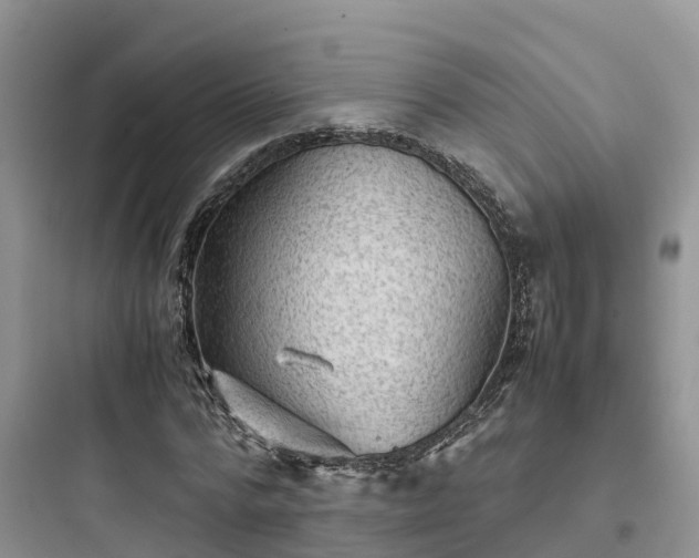 X0000097920776200803211526