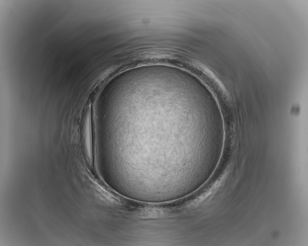 X0000097920777200803211526