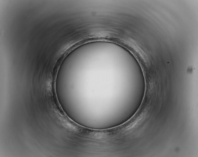 X0000097920778200803211526