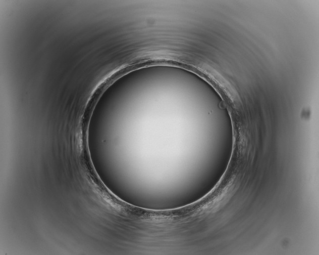 X0000097920782200803211526