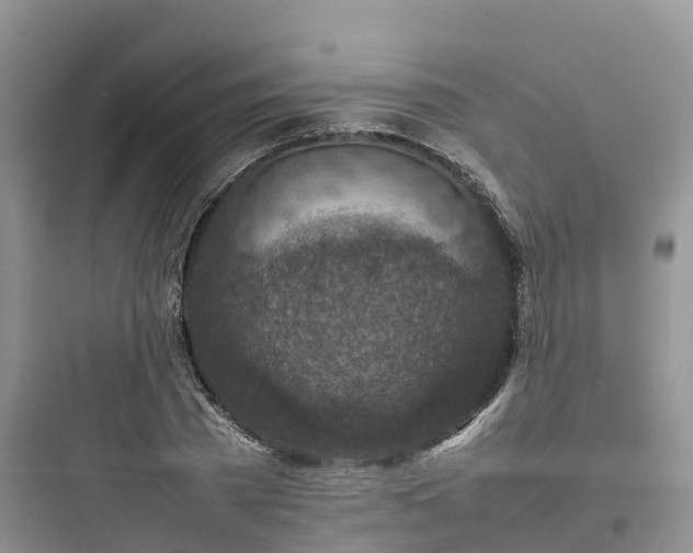 X0000097920785200803211526