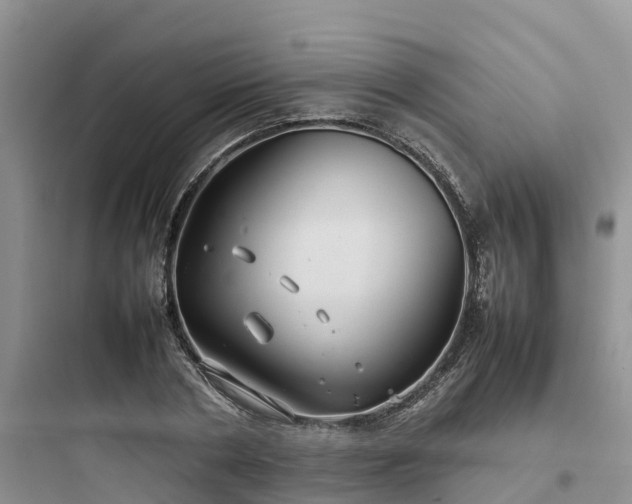 X0000097920786200803211526