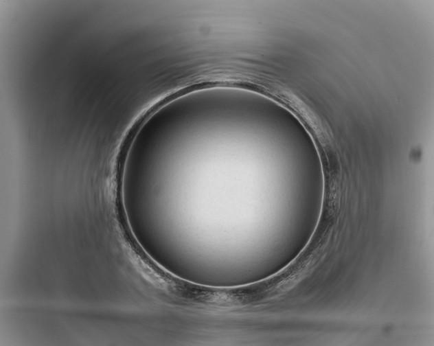 X0000097920787200803211526