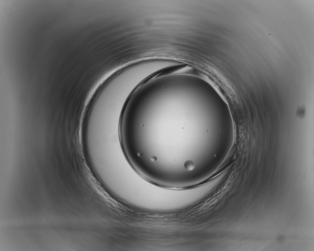 X0000097920788200803211526