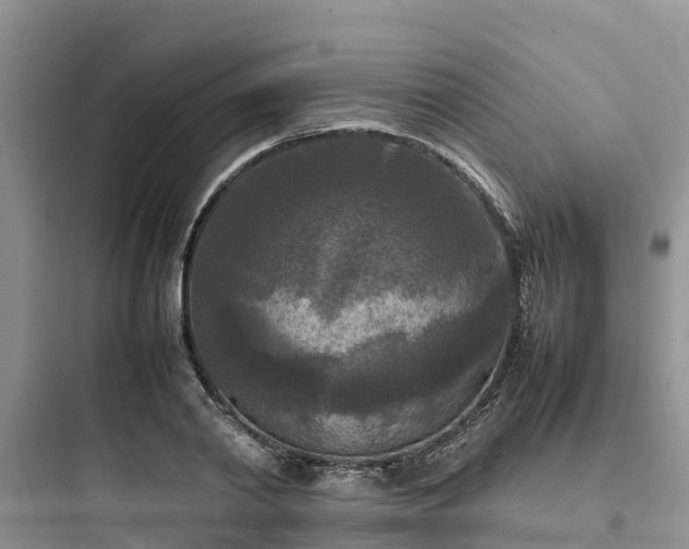 X0000097920790200803211526