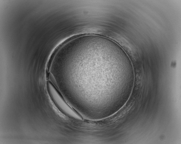 X0000097920792200803211526