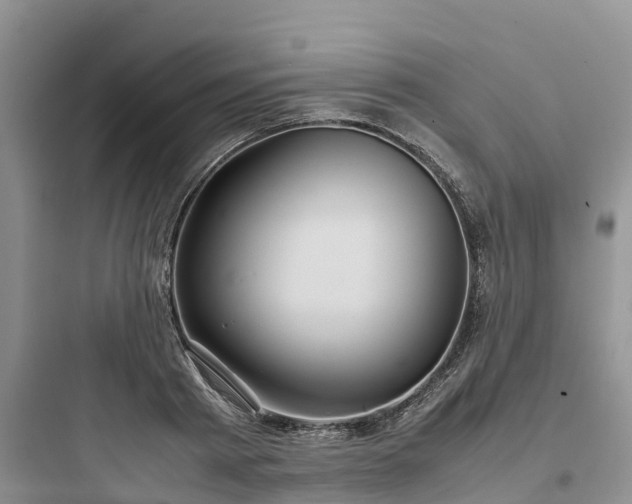 X0000097920793200803211526