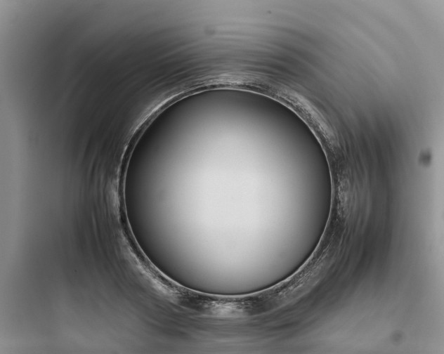 X0000097920794200803211526