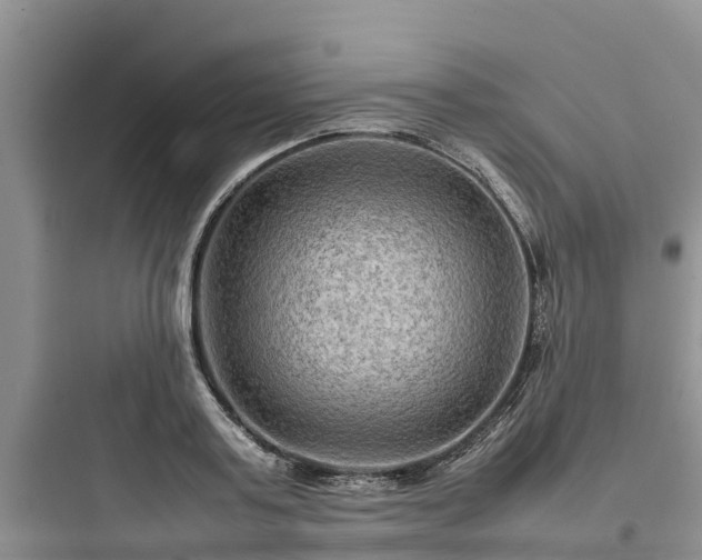 X0000097920795200803211526