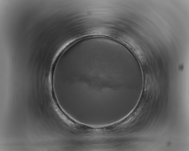 X0000097920796200803211526
