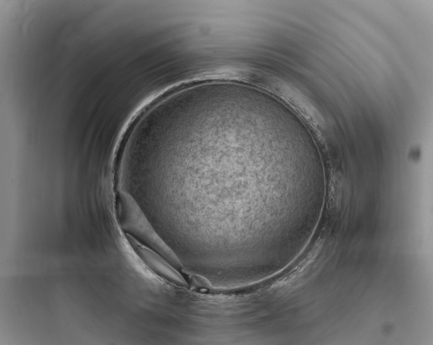 X0000097920800200803211526