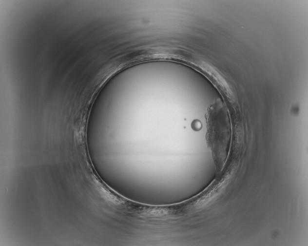X0000097920801200803211526