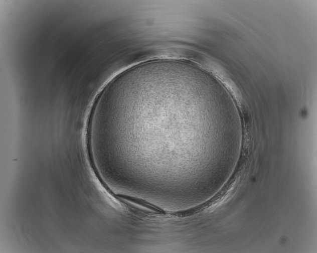 X0000097920803200803211526