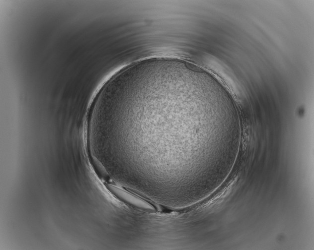 X0000097920804200803211526