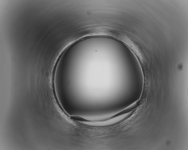 X0000097920805200803211526