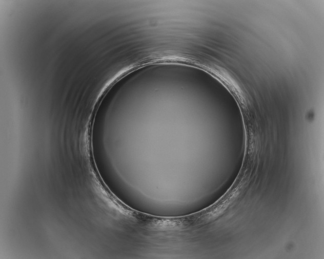 X0000097920806200803211526