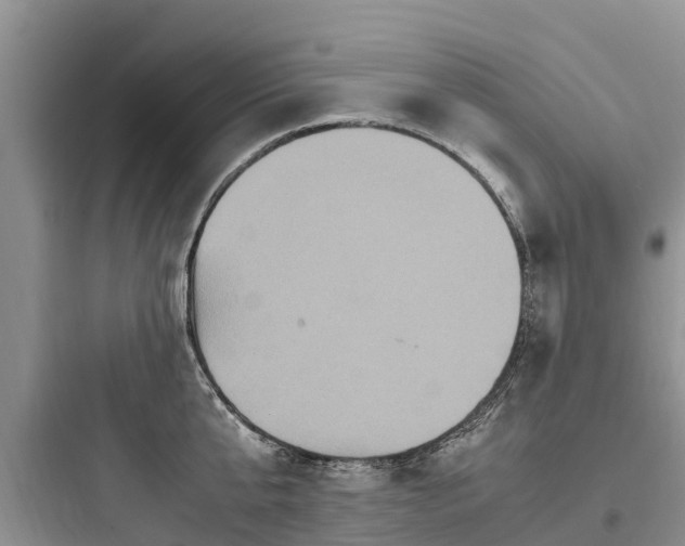 X0000097920807200803211526