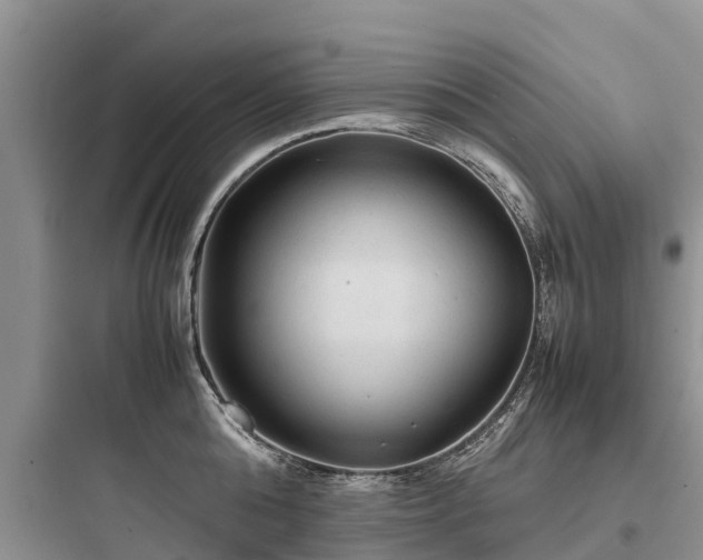 X0000097920808200803211526