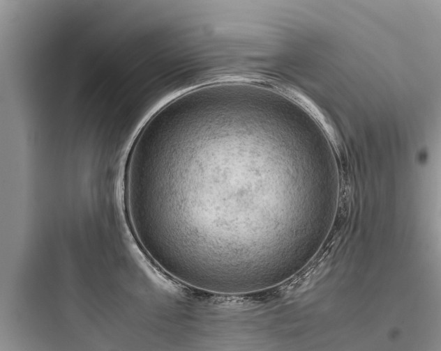 X0000097920811200803211526