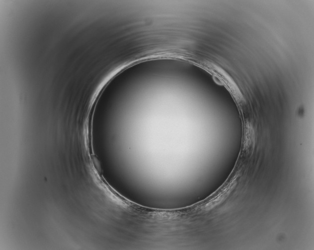 X0000097920812200803211526