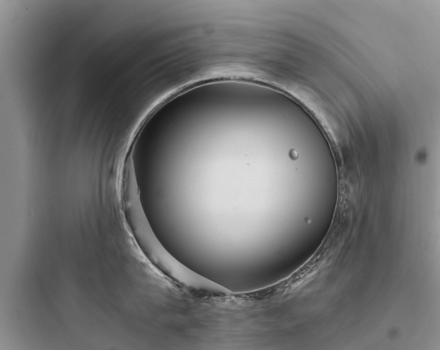 X0000097920815200803211526