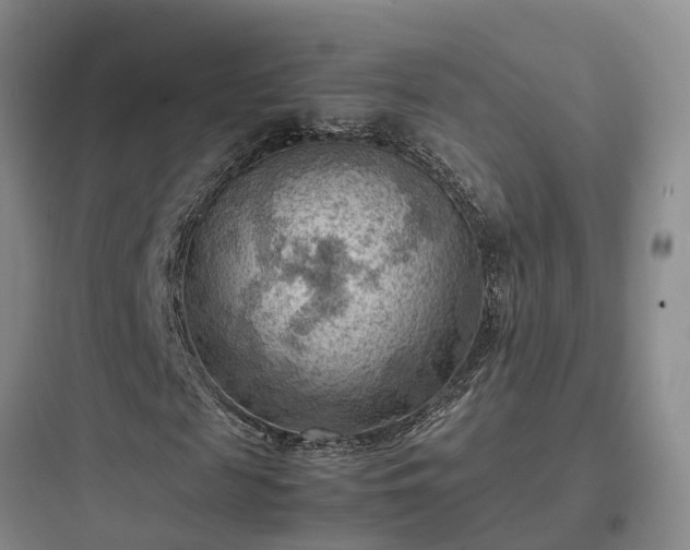 X0000097920817200803211525