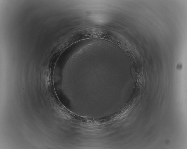 X0000097920818200803211525