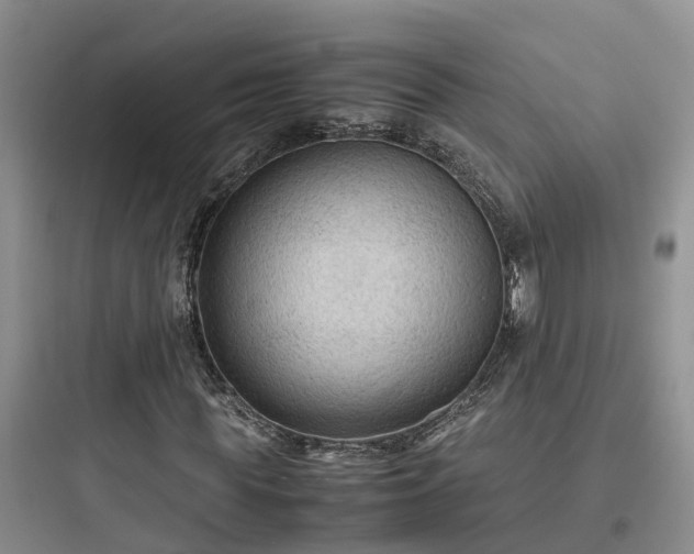 X0000097920819200803211525