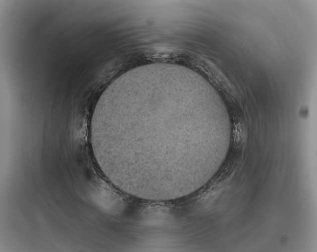 X0000097920820200803211525