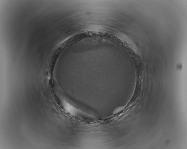 X0000097920822200803211525