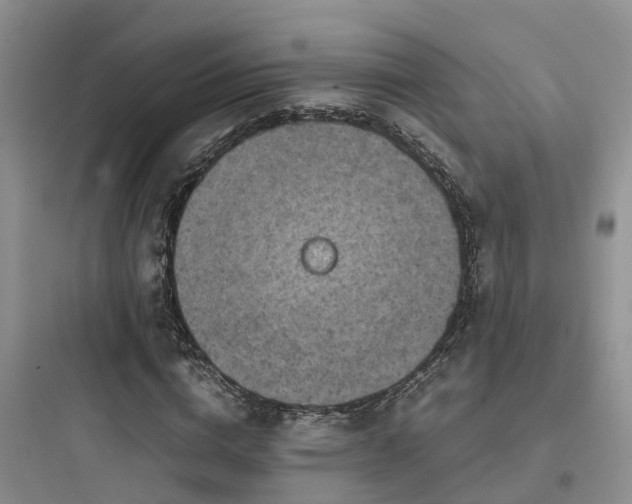 X0000097920824200803211525