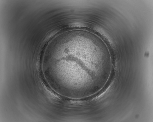 X0000097920825200803211525