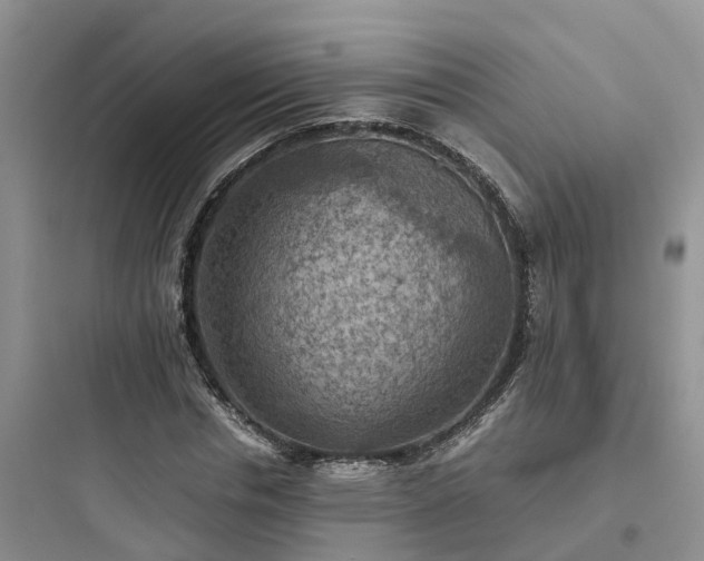 X0000097920826200803211525
