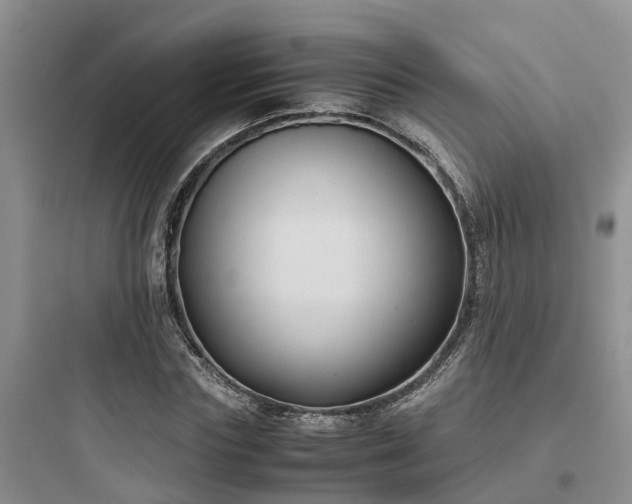 X0000097920827200803211525