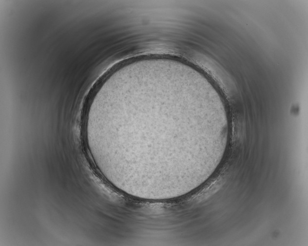 X0000097920828200803211525