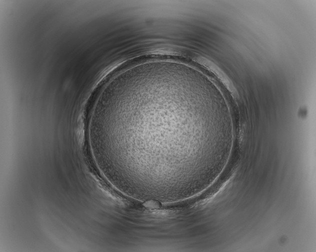 X0000097920829200803211525